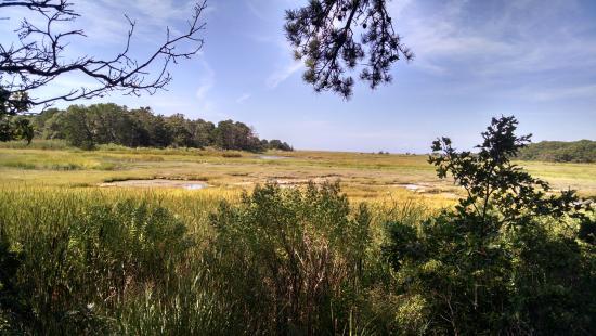 Wellfleet Bay Wildlife Sanctuary