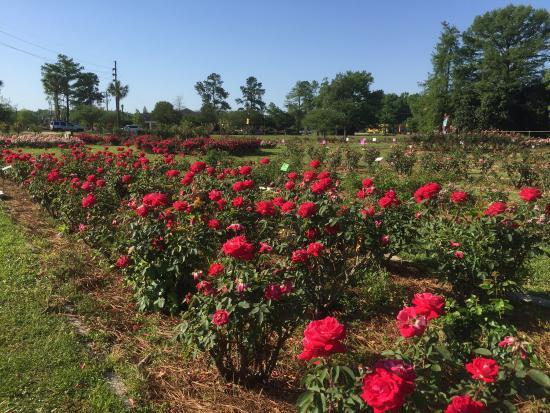 Edisto Memorial Gardens