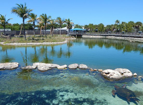 Florida Oceanographic Coastal Center