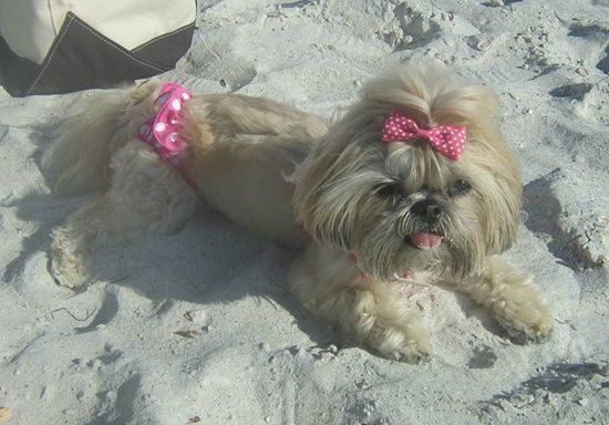 Cape San Blas