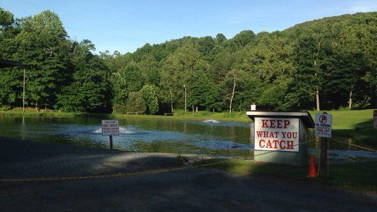 Hodowla ryb Grandfather Trout Farm