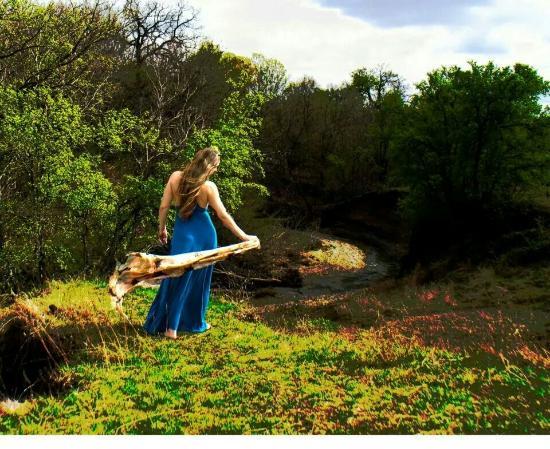 University of Texas at Dallas