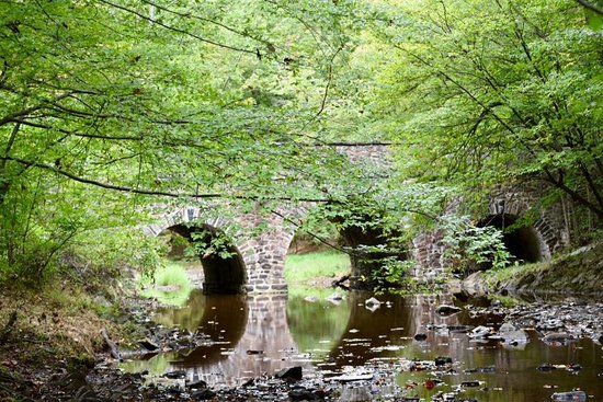 Bowman's Hill Wildflower Preserve
