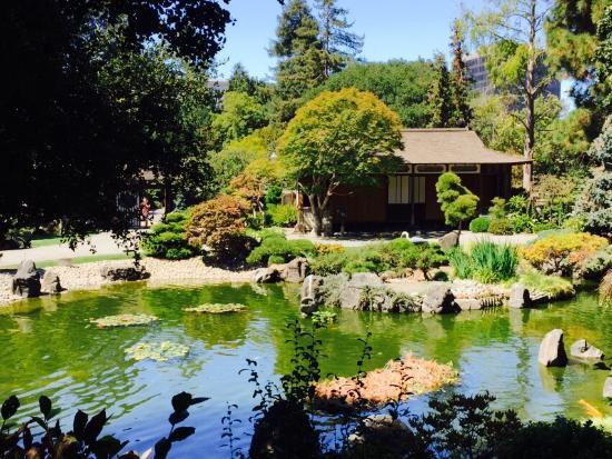 The San Mateo Japanese Garden