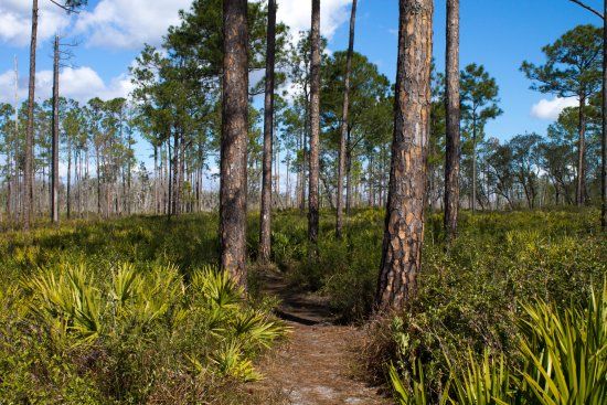 Tiger Creek Preserve