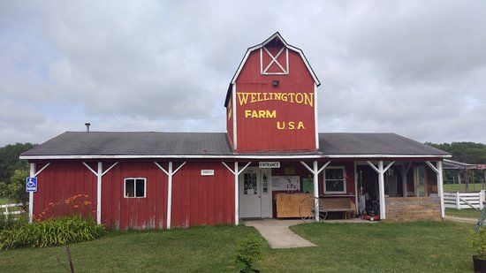 Wellington Farm