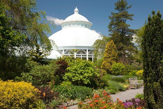 New York Botanical Garden