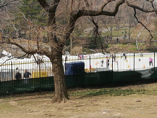 Kate Wollman Skating Rink