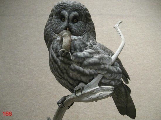 Ward Museum of Wildfowl Art