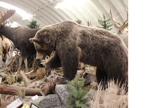 Wind River Heritage Center