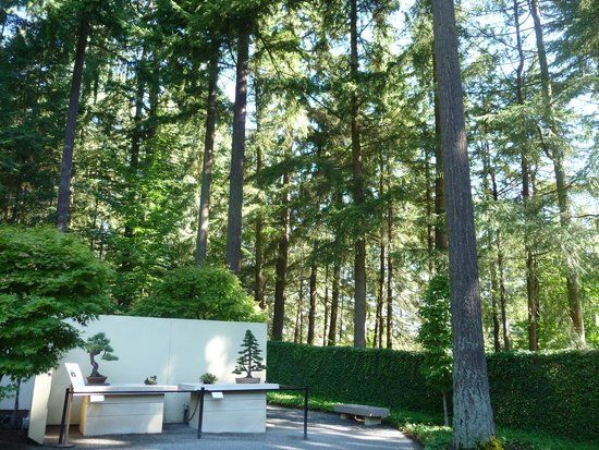 Pacific Bonsai Museum