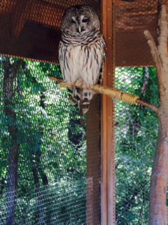 Ernie Miller Nature Center