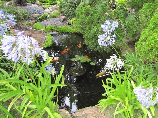 Self Realization Fellowship Hermitage & Meditation Gardens