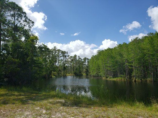 J.W. Corbett Wildlife Management Area