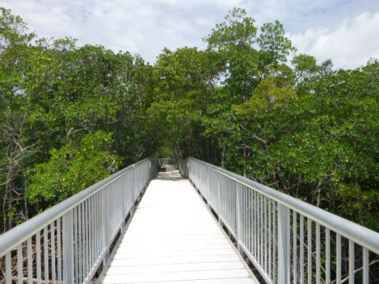 Mangrove Nature Park