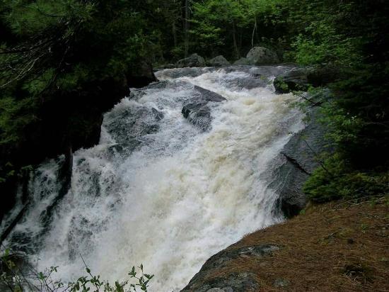 Moose River
