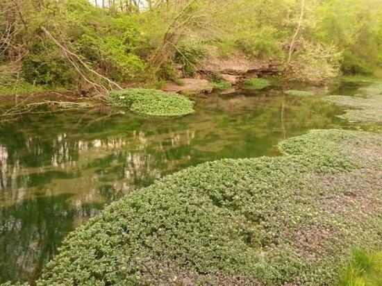 Battle of Carthage State Historic Site
