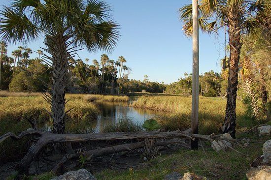 Crystal River Preserve State Park
