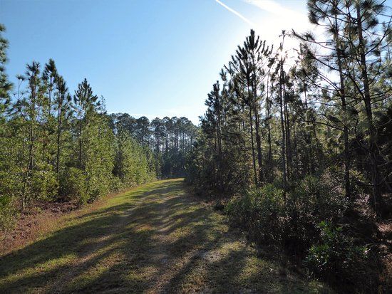 Clark Bay Conservation Area