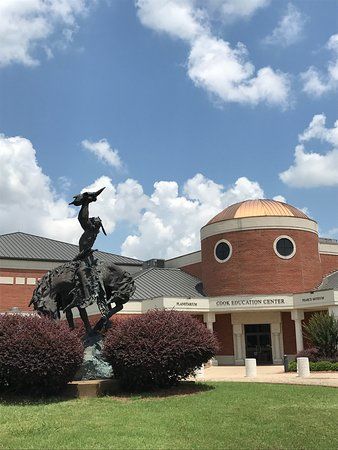 The Pearce Museum at Navarro College