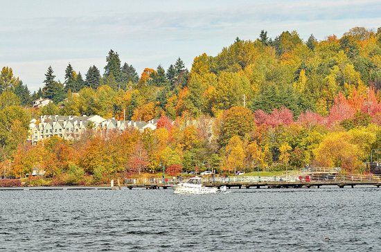 Gene Coulon Memorial Beach Park