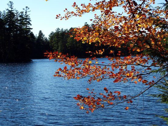 Lowell Lake State Park