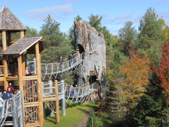The Wild Center