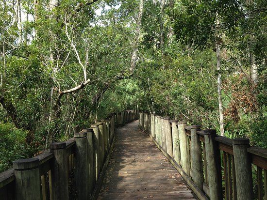 James E Grey Preserve