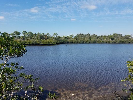Werner-Boyce Salt Springs State Park