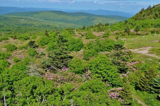 Mount Rogers National Recreation Area