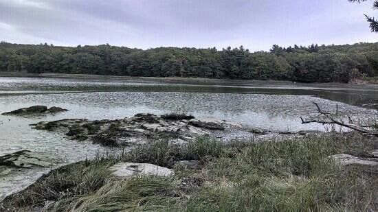 Josephine Newman Sanctuary