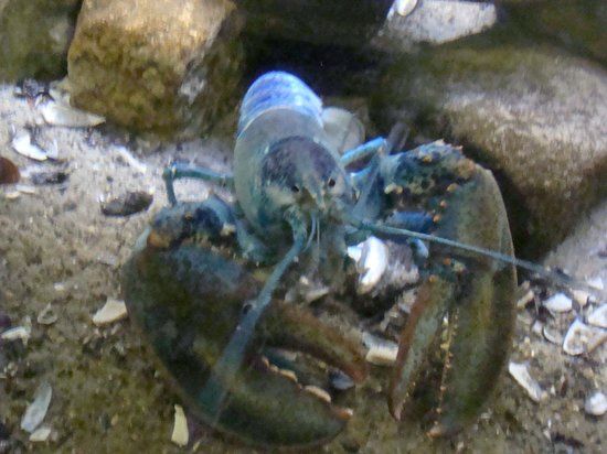 Seacoast Science Center