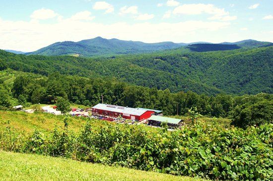 The Orchard at Altapass