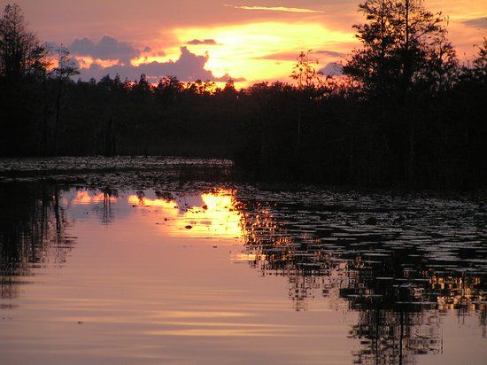 Suwanee Canal Recreation Area