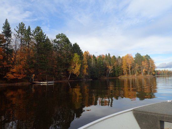 Turtle - Flambeau Flowage