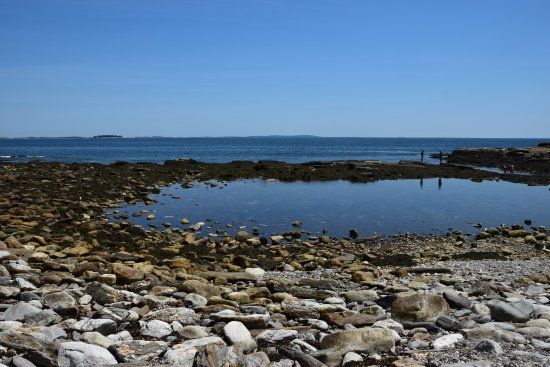 Rachel Carson Salt Pond Preserve
