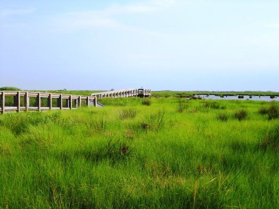 Fontainebleau State Park