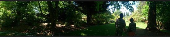 Soos Creek Botanical Garden