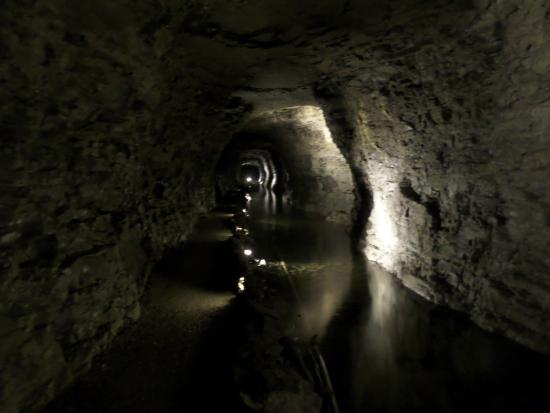 Lockport Cave and Underground Boat Ride
