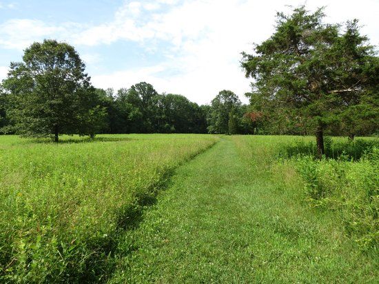 Schooleys Mountain County Park