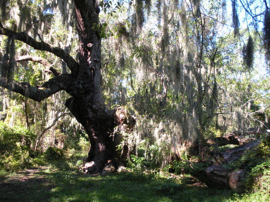 Indian Shell Mound Park