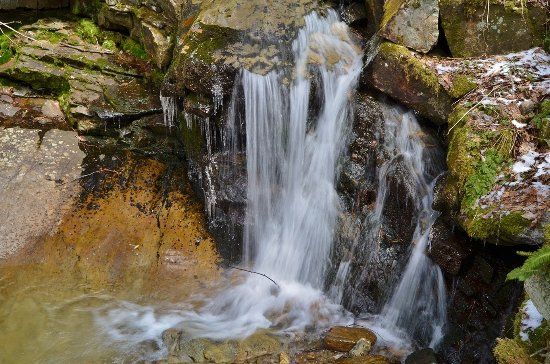 Rock Creek Park