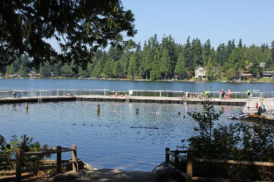 Pine Lake Park