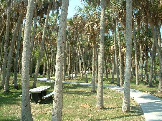 Madira Bickel Mound State Archeological Site