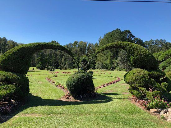 Fryar's Topiary Garden