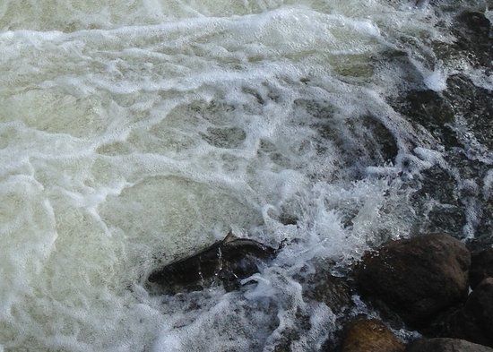 Homestead Dam