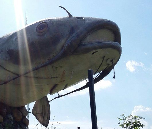 Wahpeton Wahpper