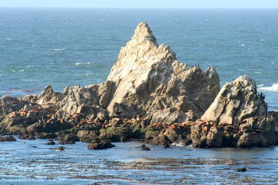 Cape Arago Lighthouse