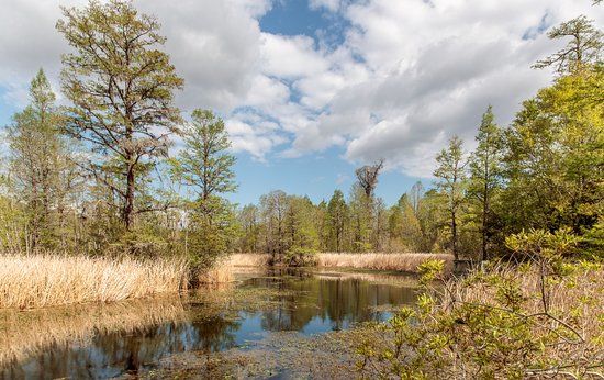 Old Santee Canal State Park