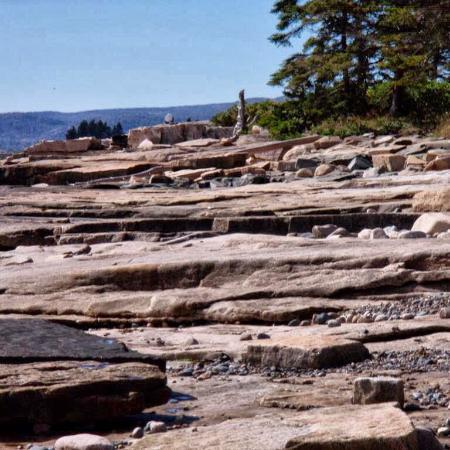 Grindstone Neck of Maine